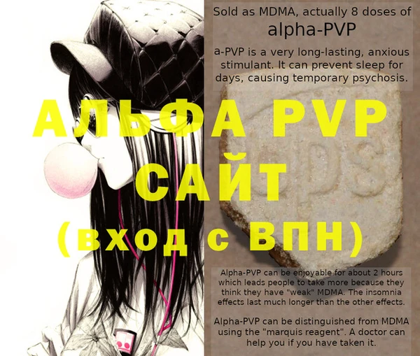 молекула духа Арсеньев